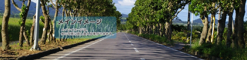for_demo_08.jpg